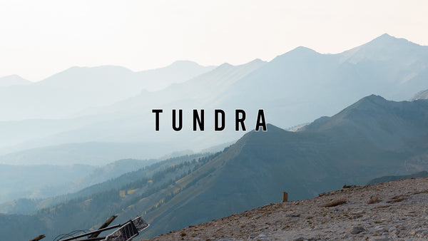 Tundra